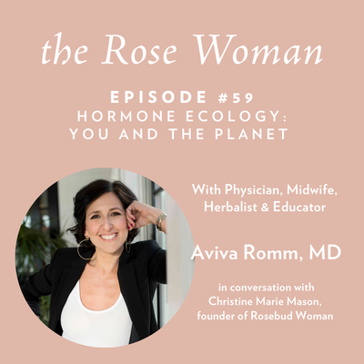 Bonus Episode: Dream Analyst Lauri Loewenberg