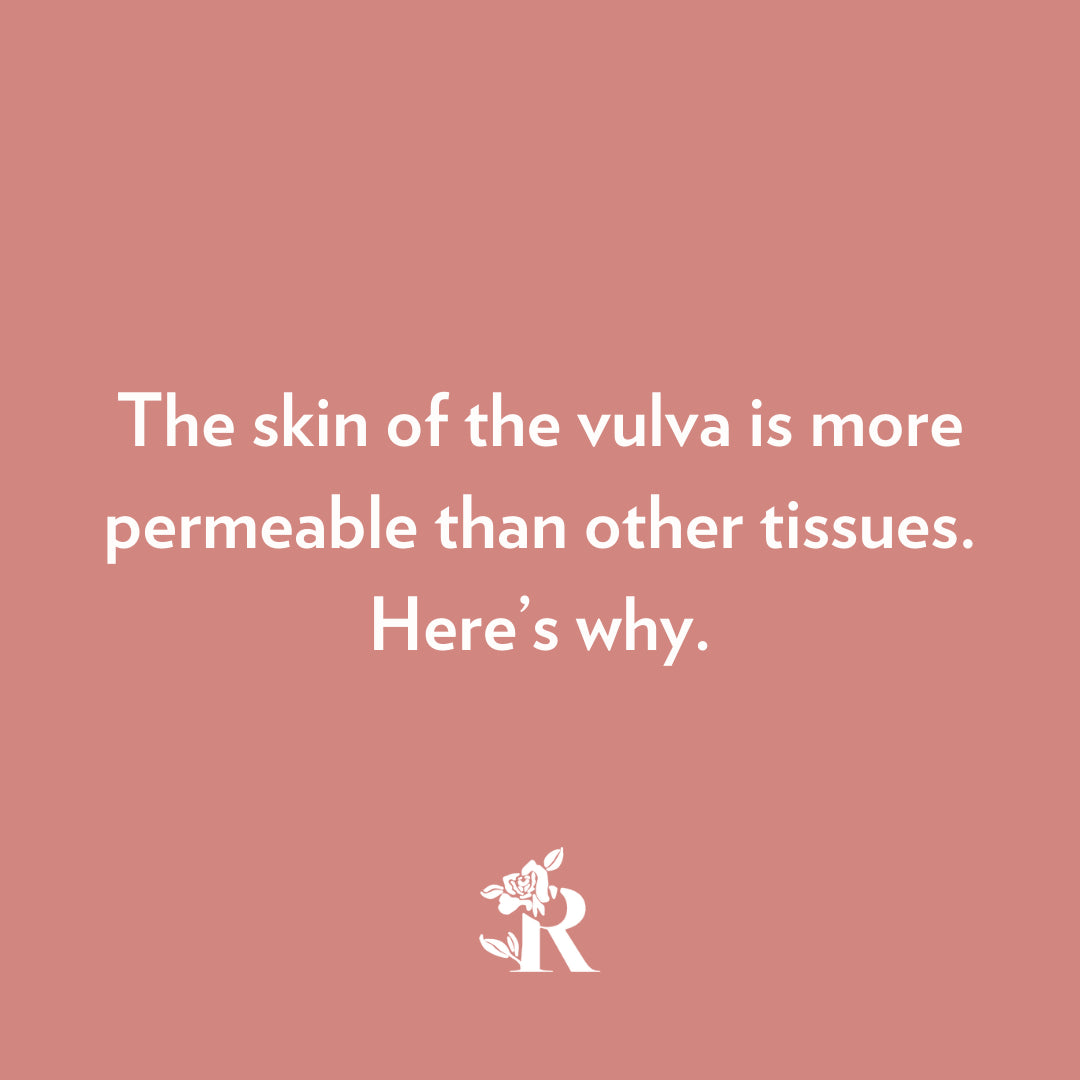 The skin of the vulva is more permeable than other tissues. Here’s why.