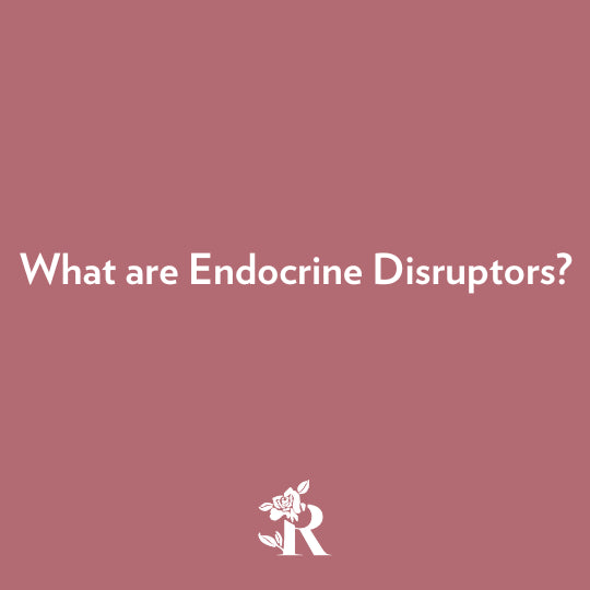 What are Endocrine Disruptors? A Blog by Rosebud Woman