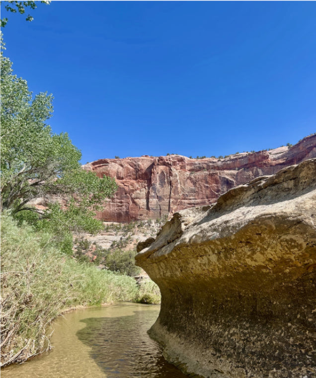 Founder Letter: From the Middle of the Escalante River