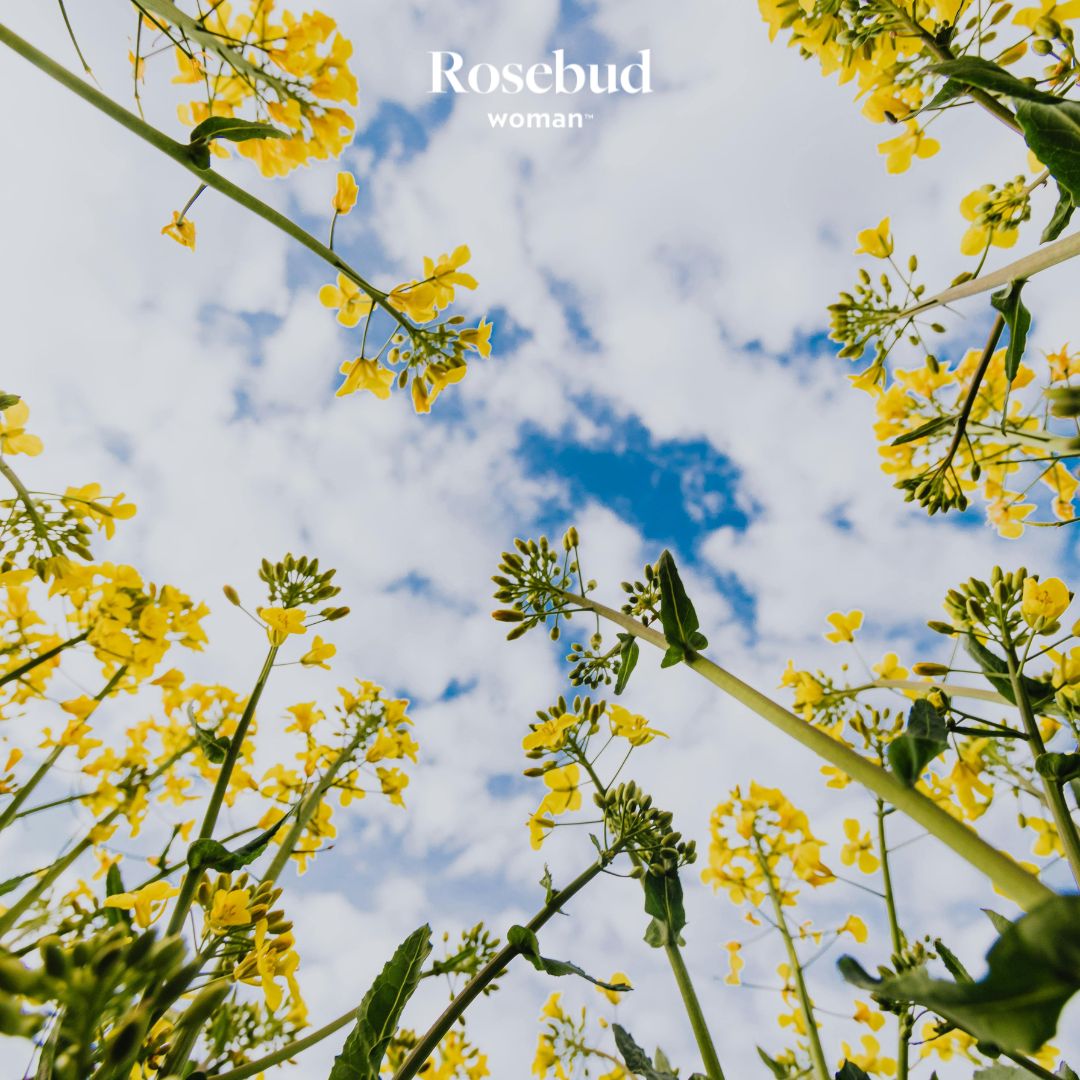 Founder Letter: Being a Practical Stand for Peace, Love, Truth and Beauty in the Time of the Black Pill