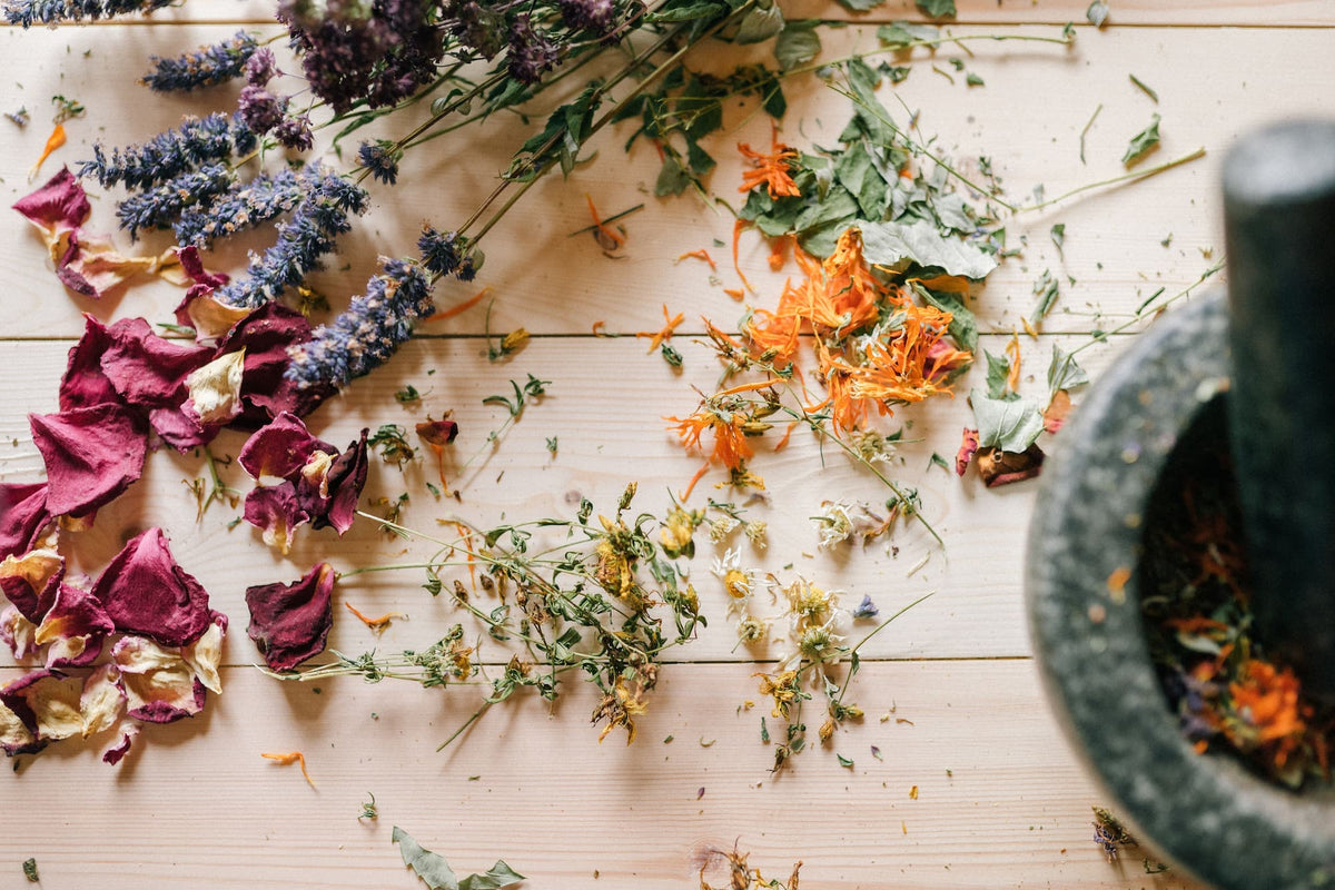How a flower gets into your body