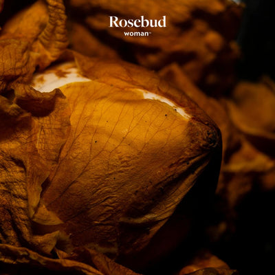 Rosebud Woman The Invitation Product Image #1