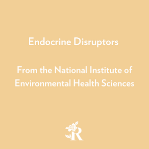 What are Endocrine Disruptors? A Blog by Rosebud Woman