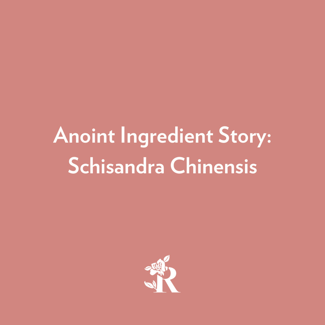 Anoint Ingredient Story: Schisandra Chinensis