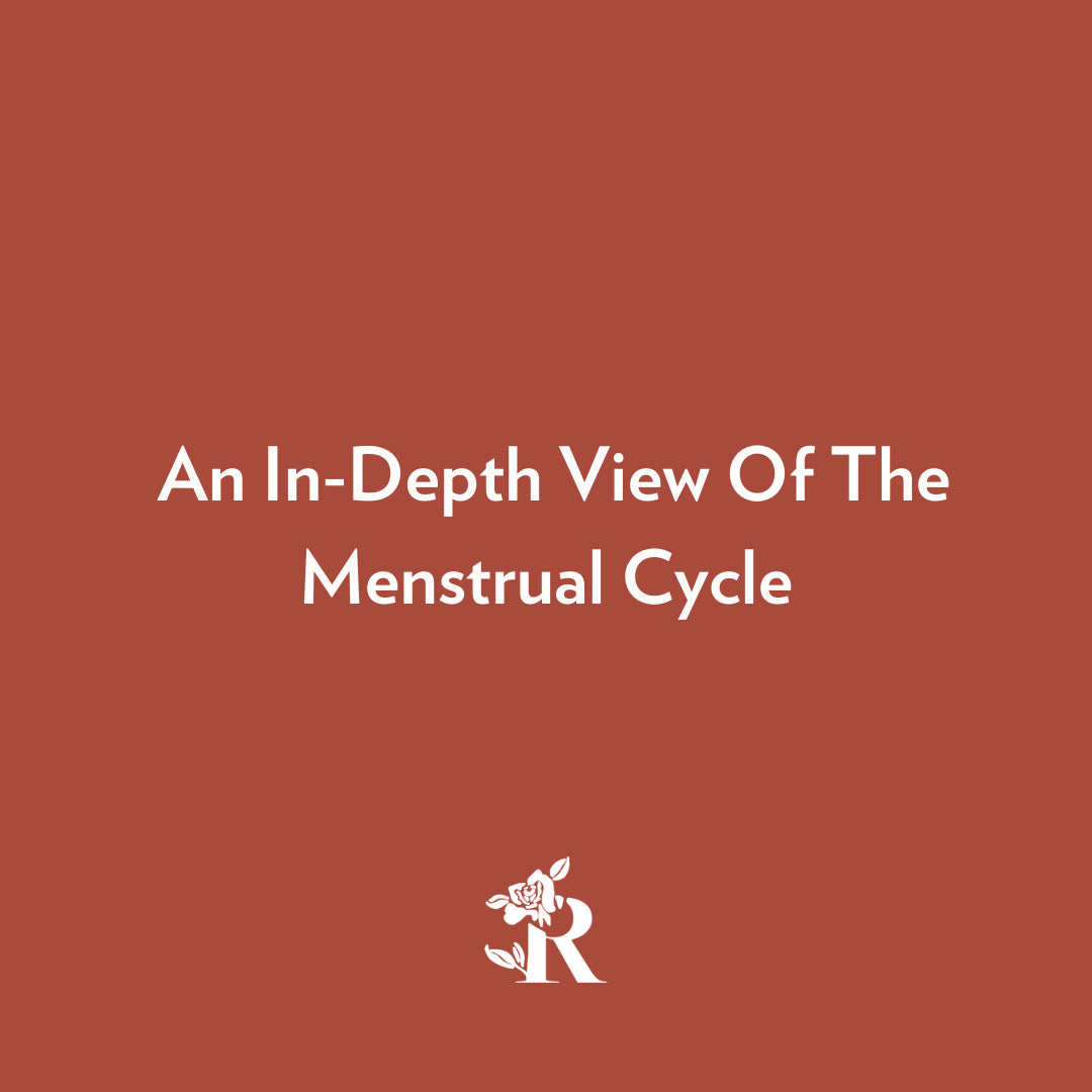 An In-Depth View Of The Menstrual Cycle