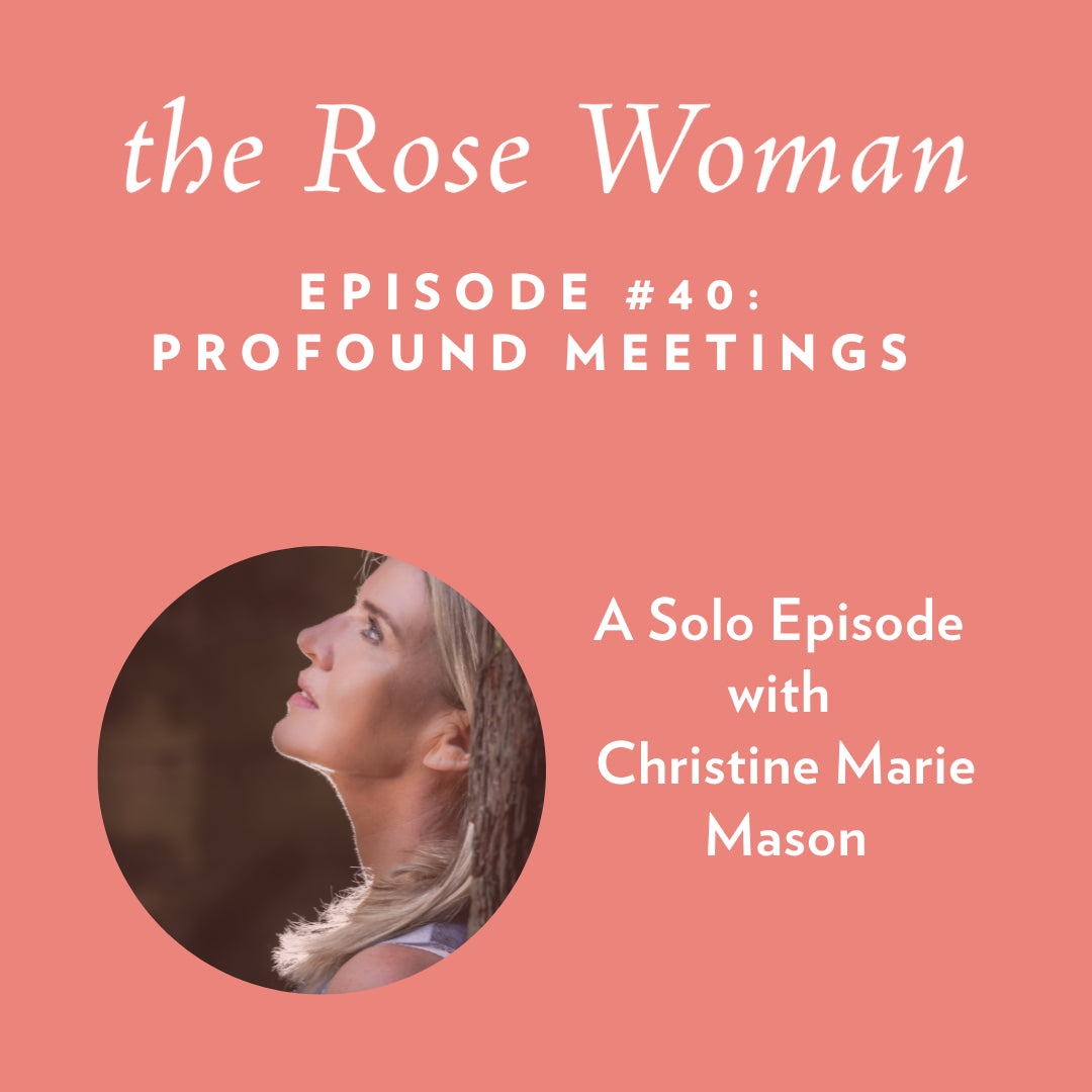 Episode #40: Profound Meetings