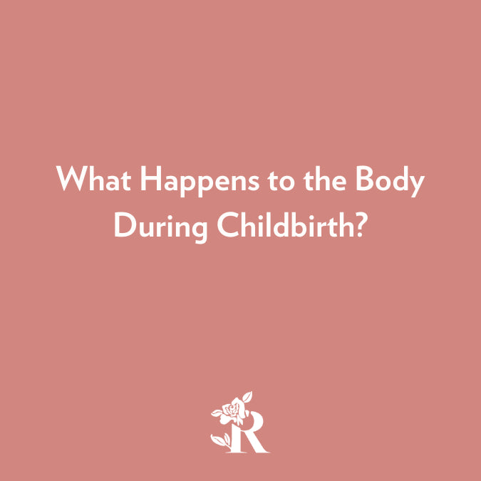 What Happens to the Body During Childbirth: Education by Rosebud Woman