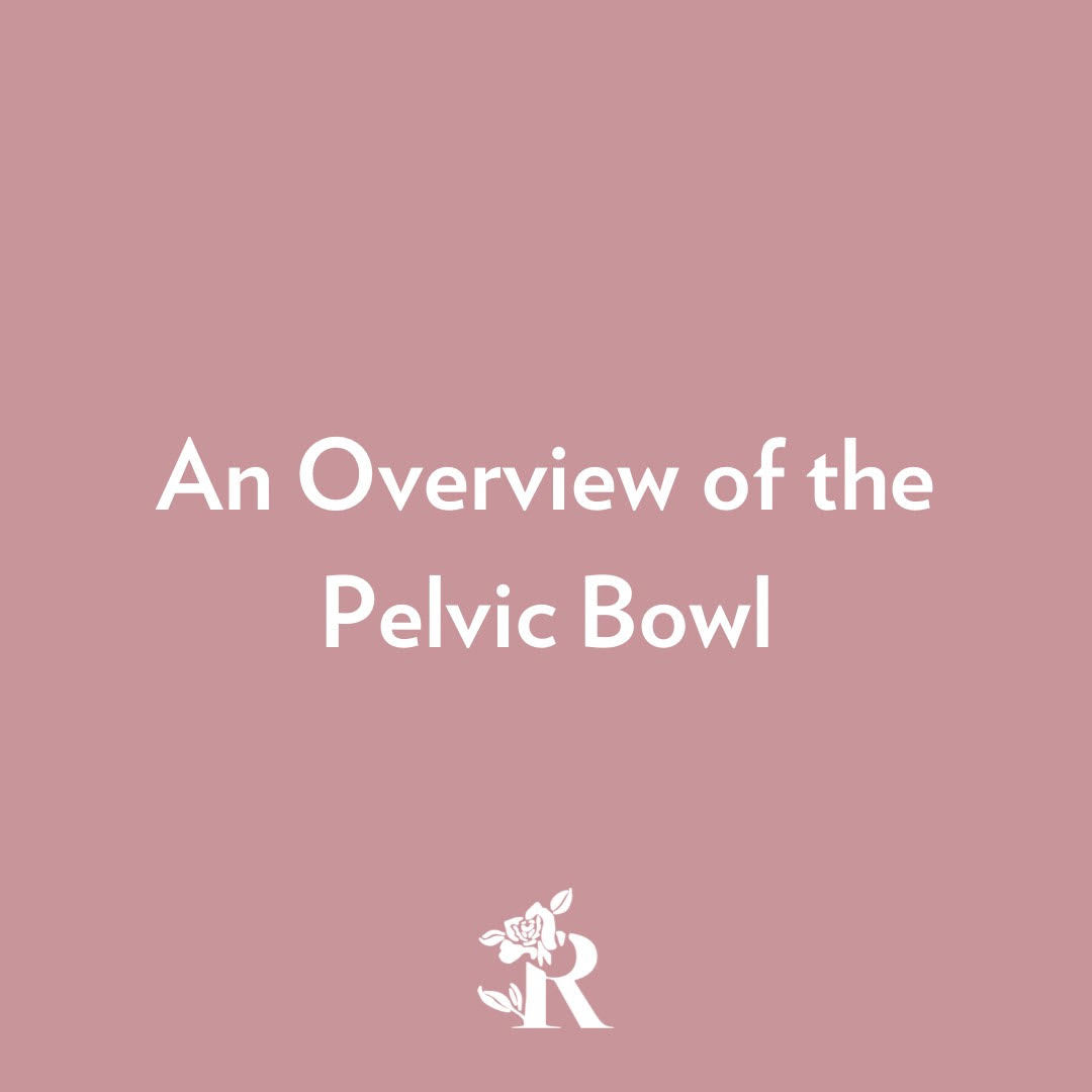 An Overview of the Pelvic Bowl
