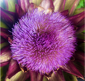 The Liberation of Joy: Reclaiming Beauty and Body Beyond External Standards