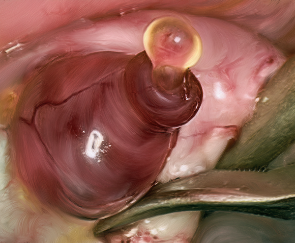 The Ovary's Second Act