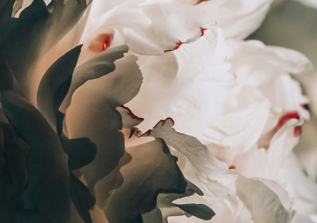 Founder Letter: Thank you for EVERYTHING