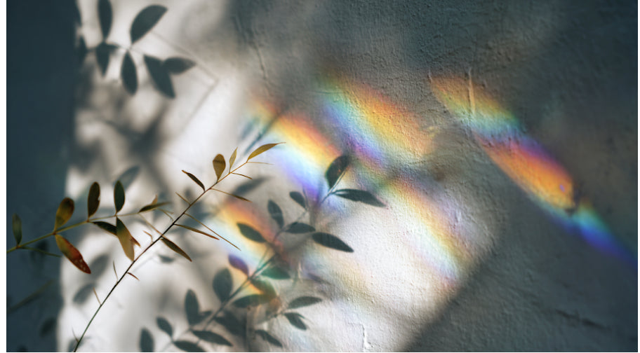 Founder Letter: Sorrow Points to Love