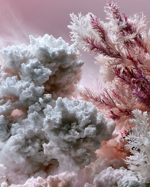 Why We Selected Foria's Magnesium
