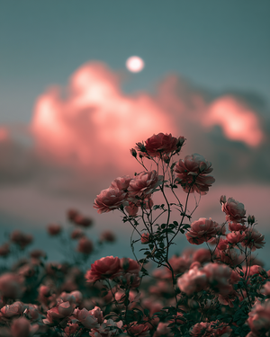 Anorgasmia: Causes & How to Invite More Sensation