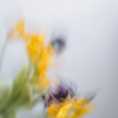 Rosebud Woman The Invitation Product Image #1