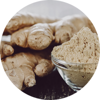 Ginger