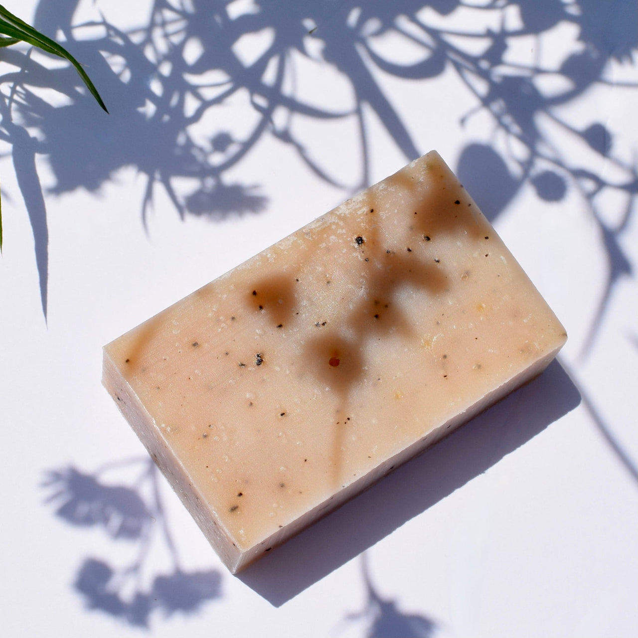 *Limited Edition* Exfoliating Apricot Kernel and Coffee Soap