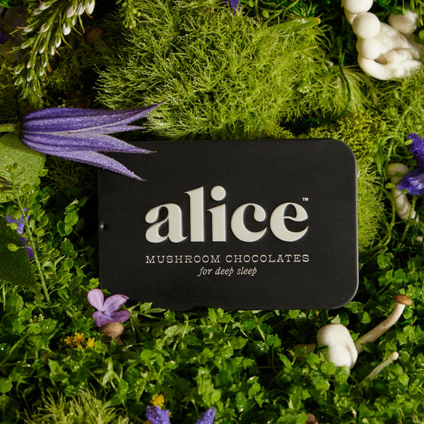 alice mushrooms