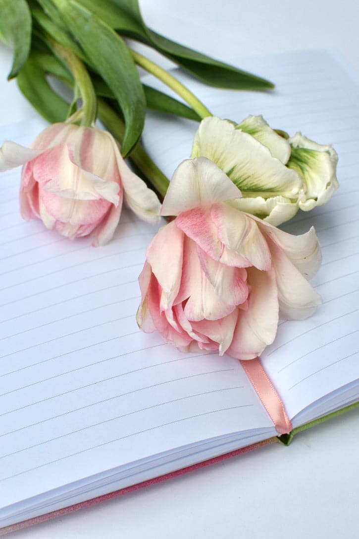 Reverence Journal