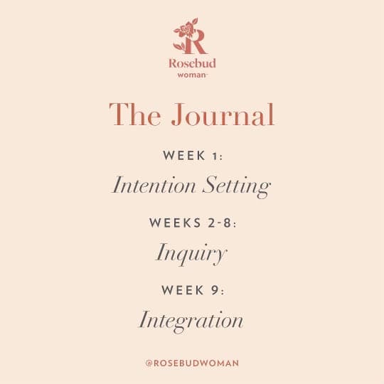 Body Love Journal: Self Love in Action